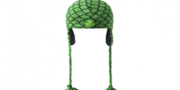 turtle_hat_4e3efa2c5cee0_250x250 (1)